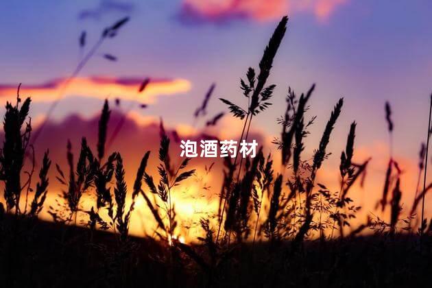 泡酒药材