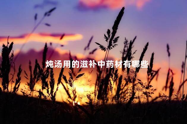炖汤用的滋补中药材有哪些