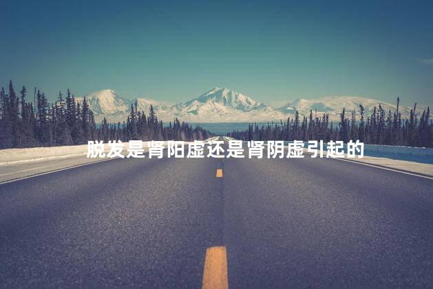 脱发是肾阳虚还是肾阴虚引起的