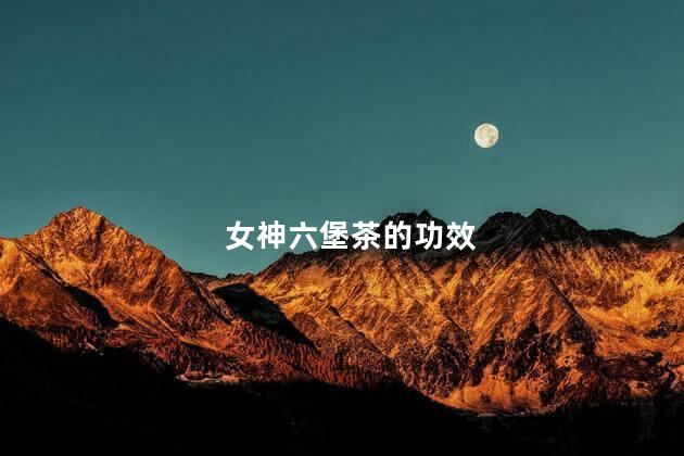 女神六堡茶的功效