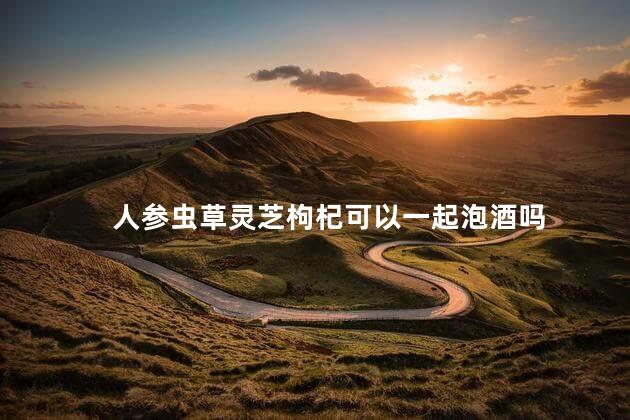 人参虫草灵芝枸杞可以一起泡酒吗