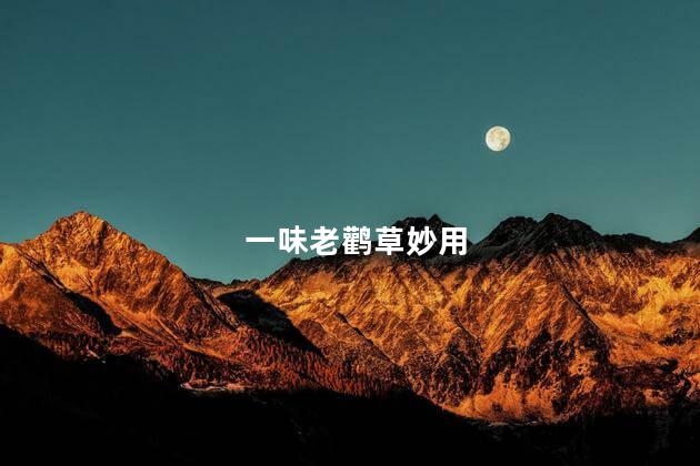 一味老鹳草妙用