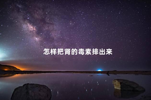 怎样把肾的毒素排出来