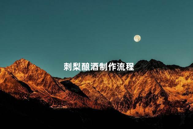 刺梨酿酒制作流程