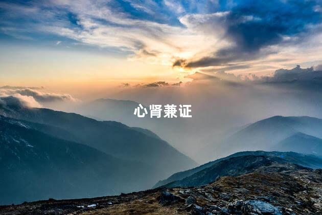 心肾兼证
