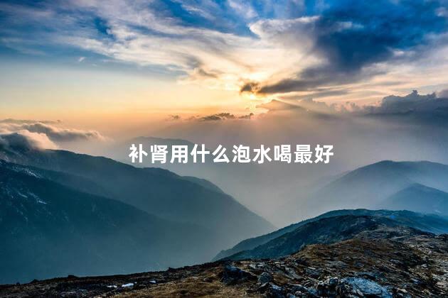 补肾用什么泡水喝最好
