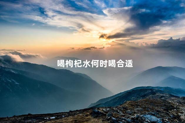 喝枸杞水何时喝合适