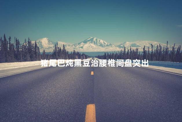 猪尾巴炖黑豆治腰椎间盘突出