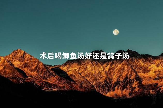 术后喝鲫鱼汤好还是鸽子汤