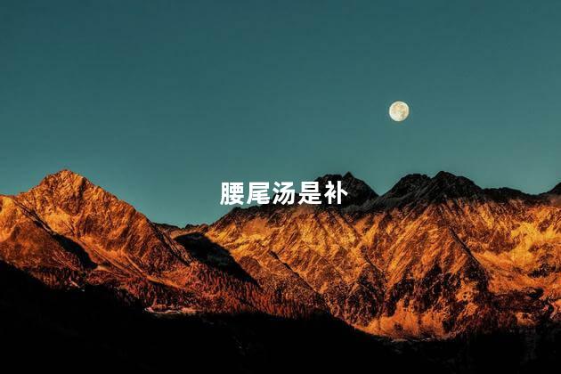 腰尾汤是补