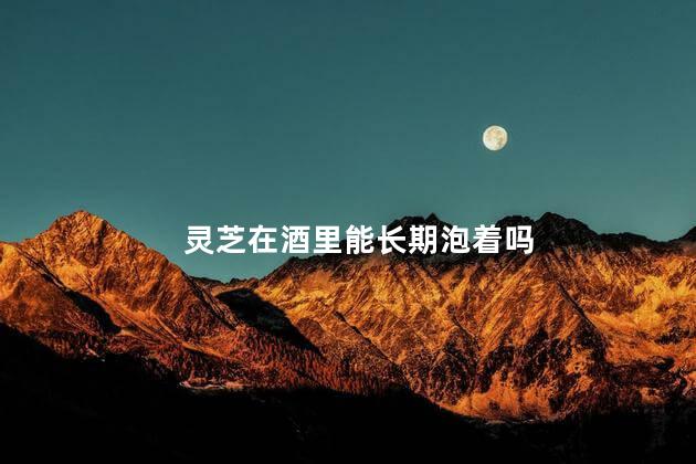 灵芝在酒里能长期泡着吗